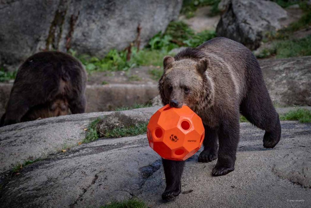 Ähtäri Zoo Camping